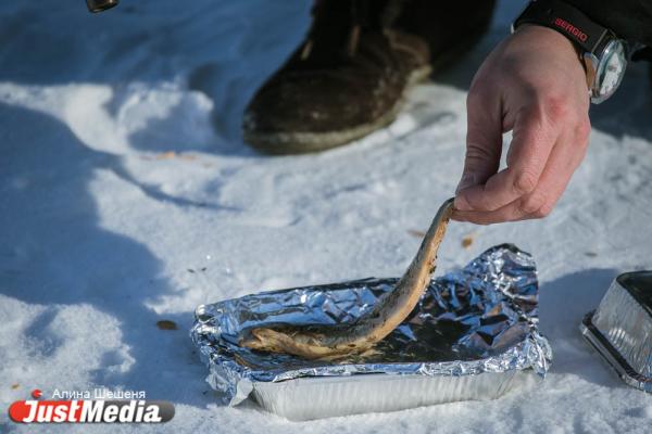 Шеф-повар бара Alibi Александр Кондрашов: «Когда холодно, люблю готовить на природе». В Екатеринбурге -5 - Фото 8