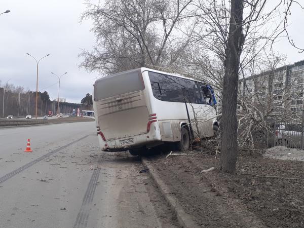 На Объездной дороге водитель автобуса влетел в дерево и погиб  - Фото 2