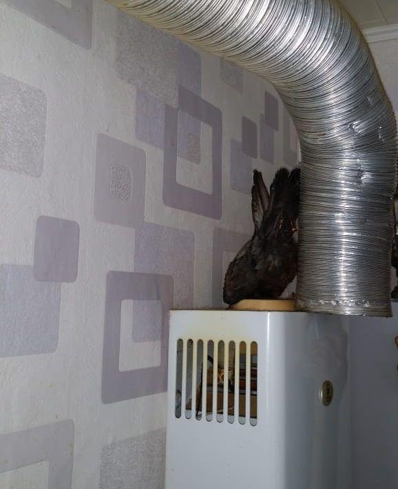 Газовики составили рейтинг самых ужасных кухонь Екатеринбурга - Фото 7