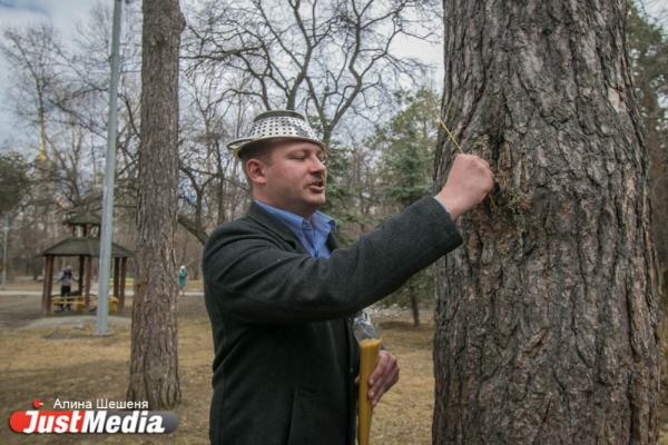 «Парк просто превратится во двор». Главные недочеты проекта благоустройства Зеленой рощи - Фото 6