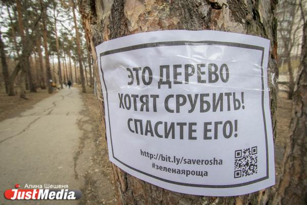 «Парк просто превратится во двор». Главные недочеты проекта благоустройства Зеленой рощи - Фото 7