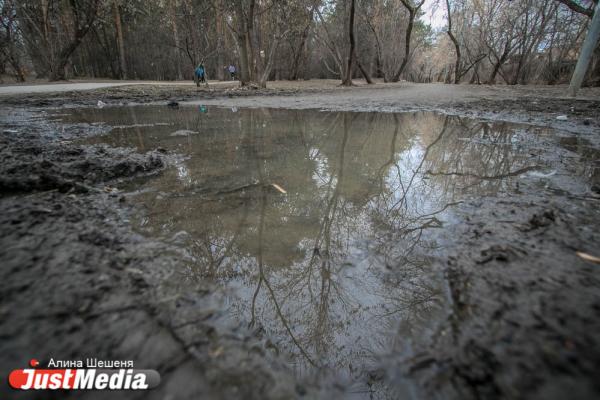 «Парк просто превратится во двор». Главные недочеты проекта благоустройства Зеленой рощи - Фото 11
