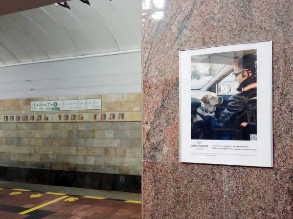 В метро Екатеринбурга открылась фотовыставка, посвященная собакам-поводырям - Фото 2