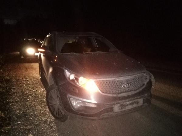 Гаишники задержали сведловчанина, который насмерть сбил человека и скрылся с места ДТП - Фото 2