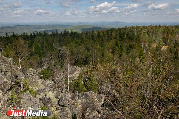Что есть и что будет. Показываем и рассказываем, каким станет туркластер «Гора Белая» - Фото 4