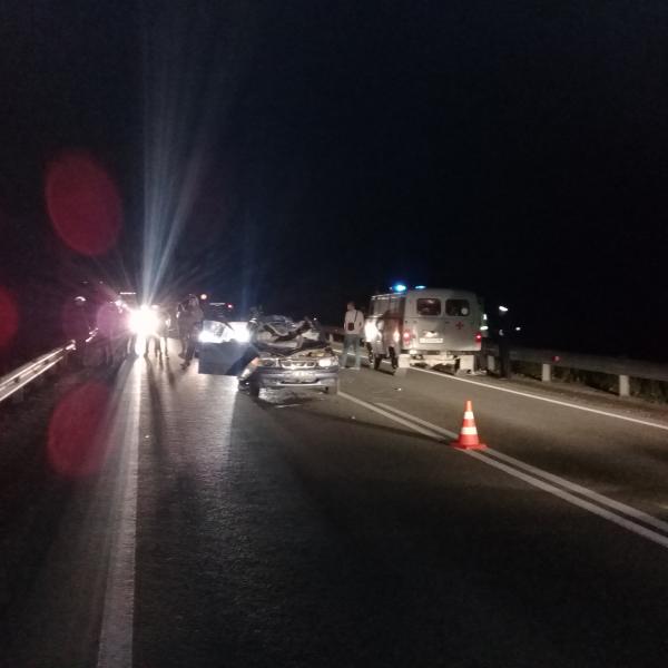 В Свердловской области водитель Daewoo сбил насмерть лося и погиб сам - Фото 2