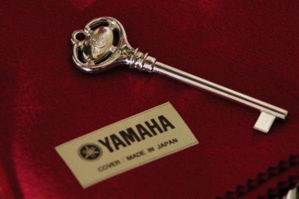 Денис Мацуев дал за день три концерта в Свердловской области и передал детским школам концертные рояли от региона  - Фото 6