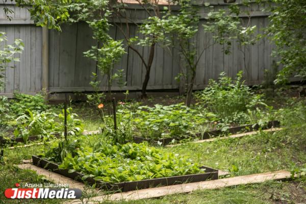Тулуп Коковани, столетние липы и ретро-наковальня. В доме-музее Бажова открылся летний - Фото 10