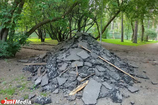 В Зеленой роще начали снимать асфальт вместе с корнями деревьев - Фото 4