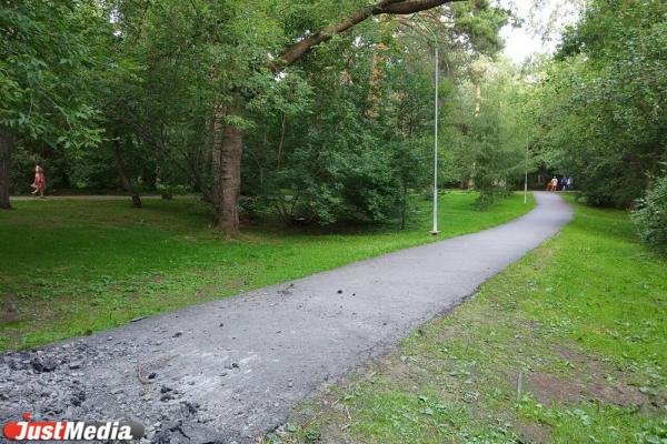 В Зеленой роще начали снимать асфальт вместе с корнями деревьев - Фото 5