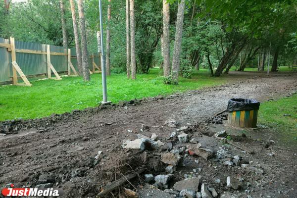 В Зеленой роще начали снимать асфальт вместе с корнями деревьев - Фото 6