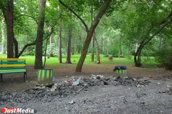 В Зеленой роще начали снимать асфальт вместе с корнями деревьев - Фото 8