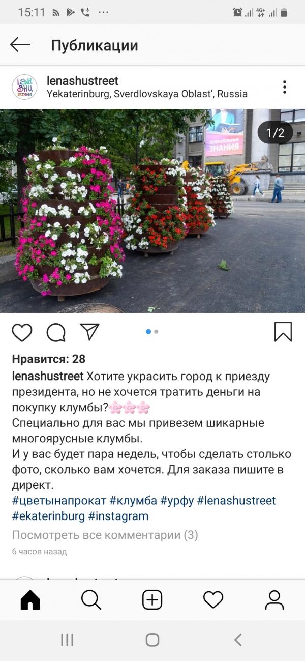 Екатеринбургские блогеры высмеяли ситуацию с «президентским цветником» около УрФУ - Фото 2