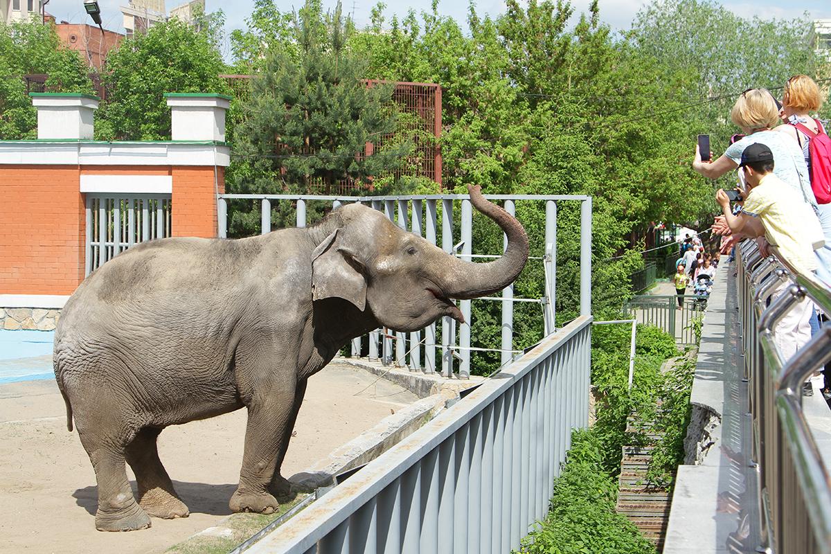 Зоопарк екатеринбург цены