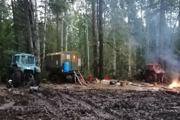 Уральцев напугали вырубки леса в районе горы Волчиха. ФОТО - Фото 2
