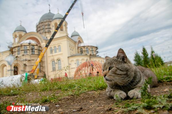 К проекту подключились областные власти. Следим вместе с JustMedia.ru за реставрацией Свято-Николаевского монастыря в Верхотурье  - Фото 14