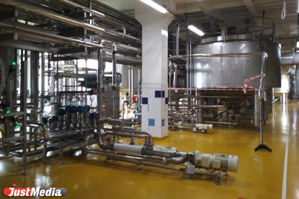 По Екатеринбургскому городскому молочному заводу начали водить экскурсии - Фото 3