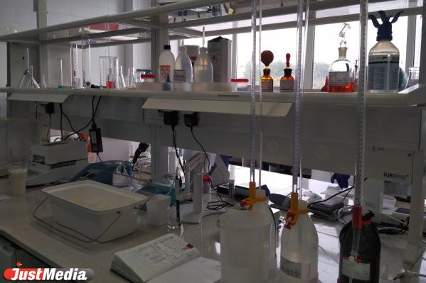 По Екатеринбургскому городскому молочному заводу начали водить экскурсии - Фото 5