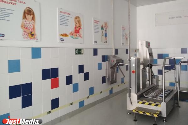 По Екатеринбургскому городскому молочному заводу начали водить экскурсии - Фото 2