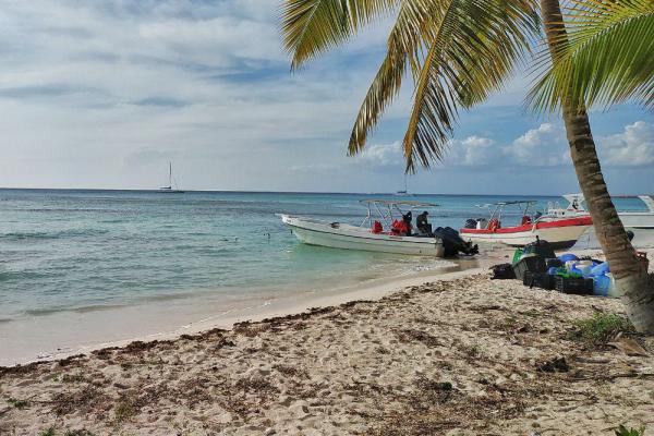 Фотограф Алина Шешеня из Доминиканы: «Сейчас здесь закат и, наконец-то, можно спастись от зноя». В Екатеринбурге +19 - Фото 2