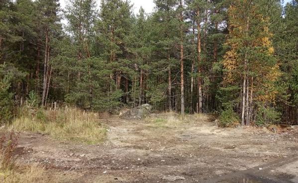 В Свердловской области ликвидированы 5 несанкционированных свалок, где было 90 тонн мусора - Фото 3