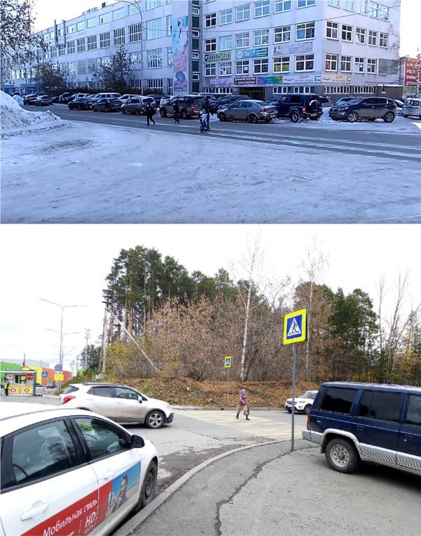 На Зоологической и Дарвина появились новые пешеходные переходы - Фото 2