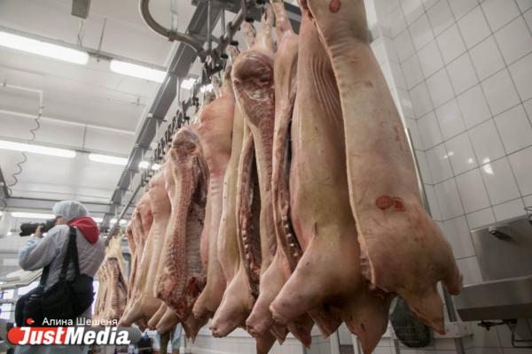 Тонны мяса, пельменей и булок. Гуляем по предприятиям-брендам вместе с JustMedia.ru - Фото 12