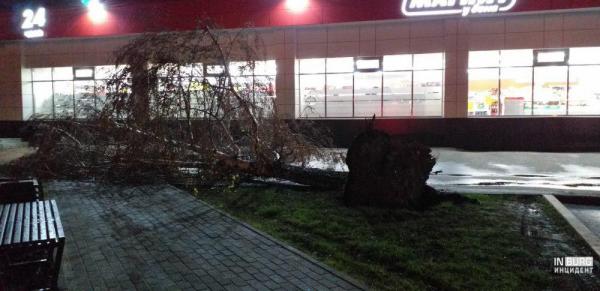 Ураган в Екатеринбурге сносил деревья, заборы и остановки - Фото 4