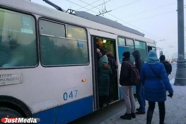 Екатеринбуржцы пожаловались на дефицит транспорта в морозы - Фото 3