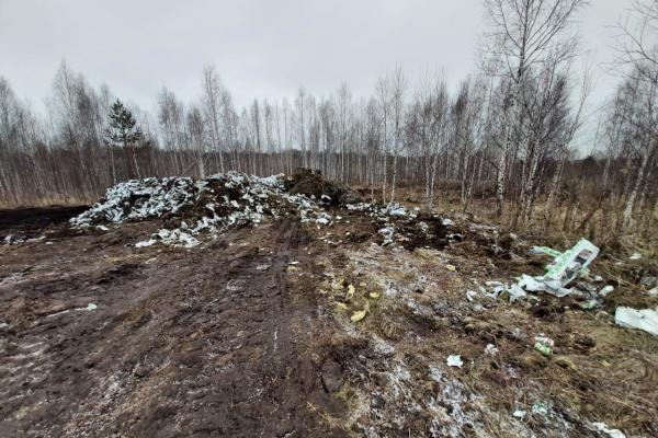 В Березовском появился новый мусорный полигон, несмотря на запрет минЖКХ - Фото 4
