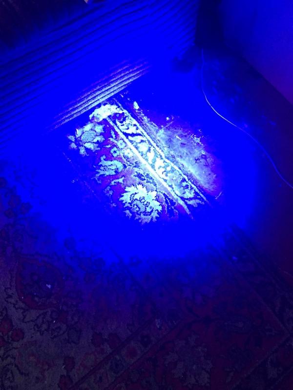 В Екатеринбурге бездомный убил собутыльника и выбросил труп в окно  - Фото 2