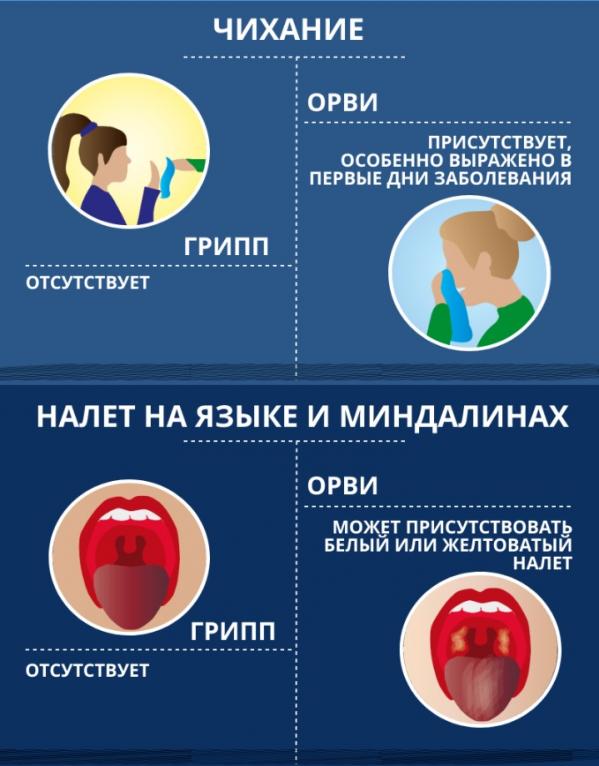 В свердловском Роспотребнадзоре рассказали, как отличить грипп от ОРВИ - Фото 4