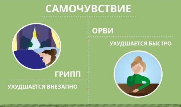 В свердловском Роспотребнадзоре рассказали, как отличить грипп от ОРВИ - Фото 2