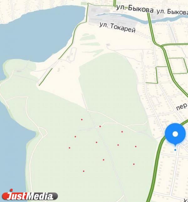 Жители Сысерти жалуются на вырубку леса на территории парка «Бажовские места» - Фото 6