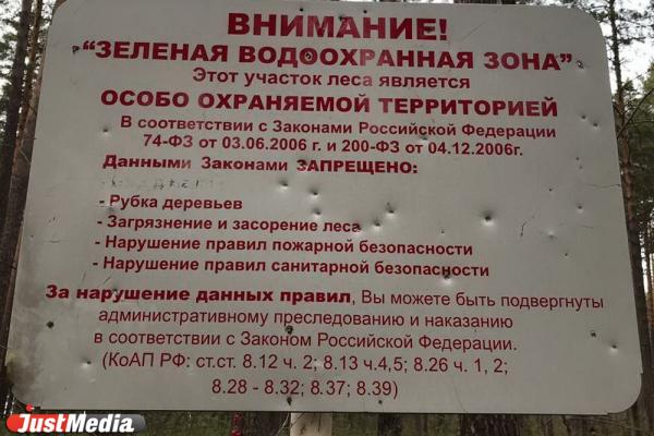 Жители Сысерти жалуются на вырубку леса на территории парка «Бажовские места» - Фото 5