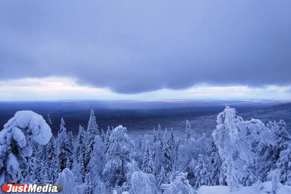 Хвойники, снег и ни души. Едем в сказочный лес Висимского заповедника  - Фото 11