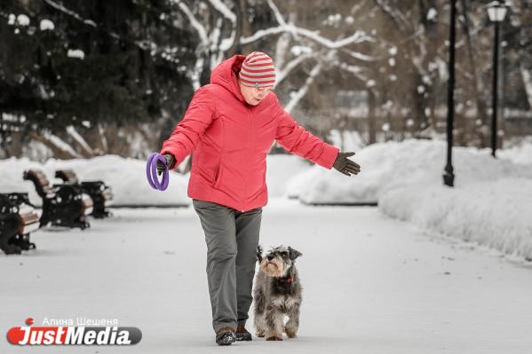  Ирина Лешукова, дрессировщик с цверкшнауцером: «Замечательная зима, можно гулять и играть с собакой». В Екатеринбурге +1 - Фото 3