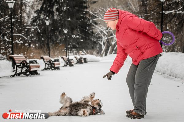  Ирина Лешукова, дрессировщик с цверкшнауцером: «Замечательная зима, можно гулять и играть с собакой». В Екатеринбурге +1 - Фото 6