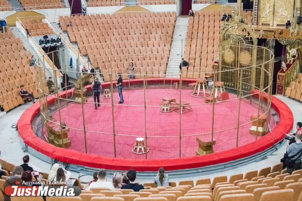 Запашный показал дрессировщику взбунтовавшихся в Екатеринбурге львов, как нужно укрощать хищников. ФОТО  - Фото 13