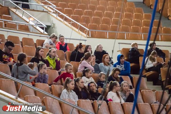 Запашный показал дрессировщику взбунтовавшихся в Екатеринбурге львов, как нужно укрощать хищников. ФОТО  - Фото 18