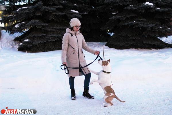 Карина Низамова, тренер стаффорда: «Хлоя очень любит скакать по сугробам, и это у нее не отнять». В Екатеринбурге -5 и небольшой снег  - Фото 4