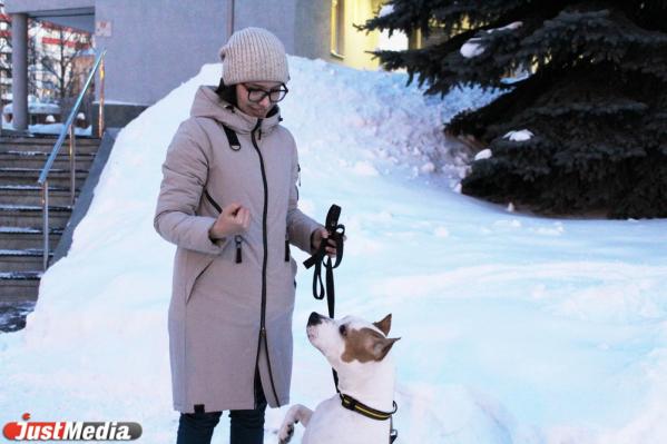Карина Низамова, тренер стаффорда: «Хлоя очень любит скакать по сугробам, и это у нее не отнять». В Екатеринбурге -5 и небольшой снег  - Фото 6