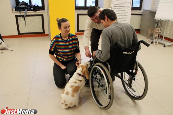 «Те, кто постарше, так и будут кричать: «Сиськи!». Как в Екатеринбурге обучают волонтеров и их собак для лечения людей с ограниченными возможностями - Фото 16