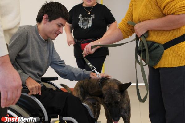 «Те, кто постарше, так и будут кричать: «Сиськи!». Как в Екатеринбурге обучают волонтеров и их собак для лечения людей с ограниченными возможностями - Фото 20