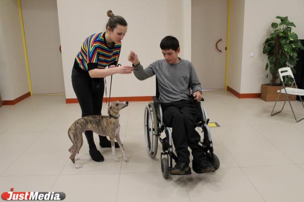 «Те, кто постарше, так и будут кричать: «Сиськи!». Как в Екатеринбурге обучают волонтеров и их собак для лечения людей с ограниченными возможностями - Фото 8