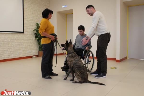 «Те, кто постарше, так и будут кричать: «Сиськи!». Как в Екатеринбурге обучают волонтеров и их собак для лечения людей с ограниченными возможностями - Фото 15