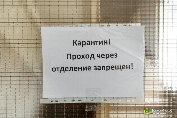 Александр Высокинский попросил пожилых екатеринбуржцев остаться дома - Фото 3