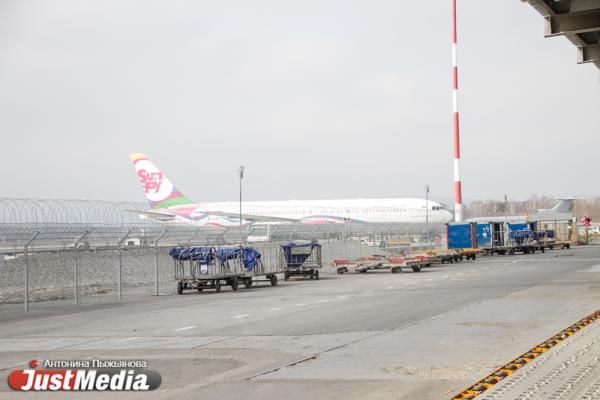 В Кольцово прилетела первая партия гуманитарного груза для борьбы с COVID-19 на 5 млн долларов - Фото 3