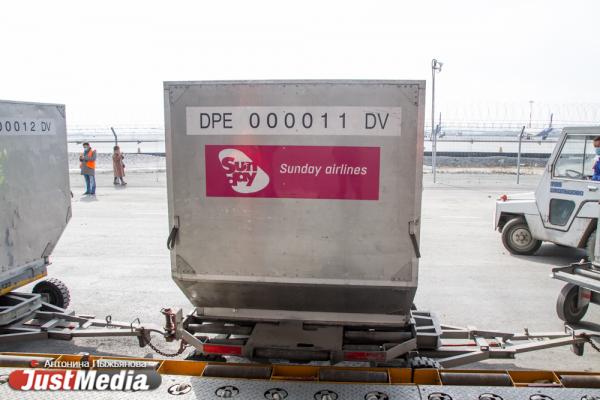 В Кольцово прилетела первая партия гуманитарного груза для борьбы с COVID-19 на 5 млн долларов - Фото 5