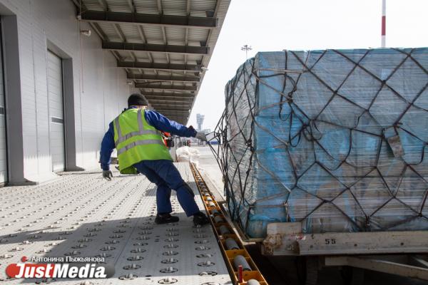 В Кольцово прилетела первая партия гуманитарного груза для борьбы с COVID-19 на 5 млн долларов - Фото 6